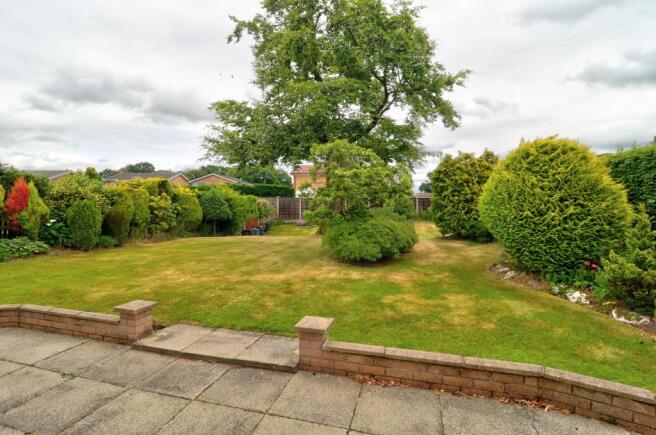 Garden 3