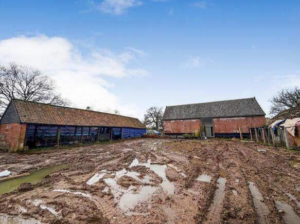 2  Medium  T202602171027.jpg