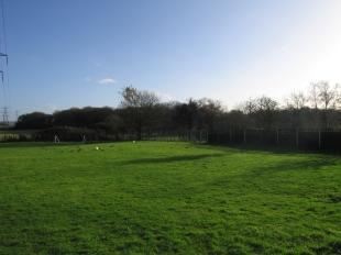 Lawned Paddock