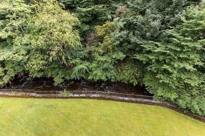 Back Garden