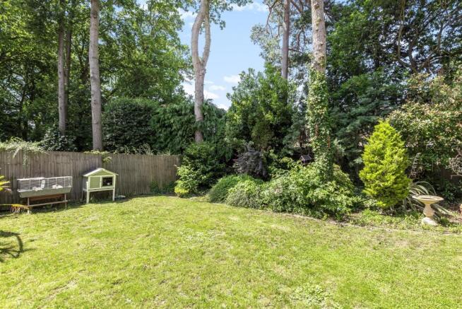 Garden.jpg