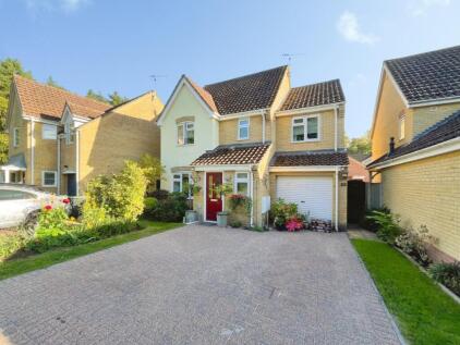 Woodcock Rise, Brandon