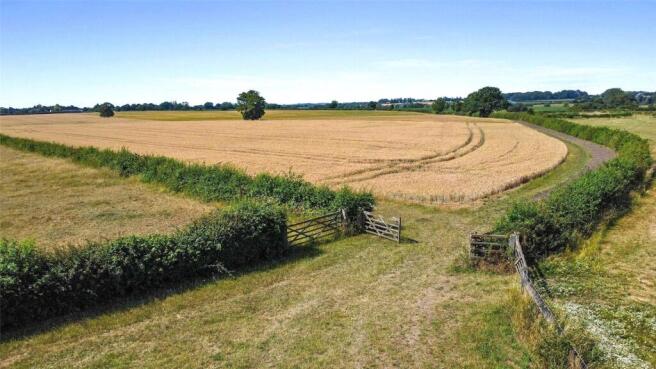 Arable Land