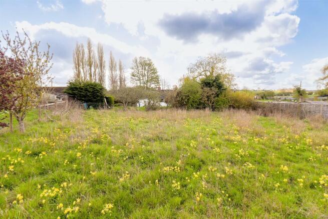 MEADOW