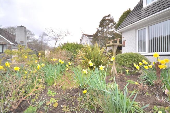 Front Garden.JPG