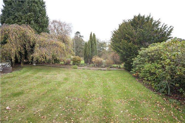 Lawn