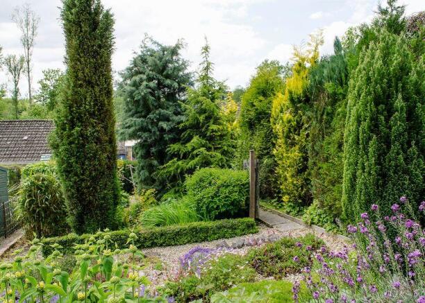 Garden aspect 2
