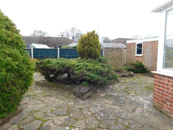 garden 1