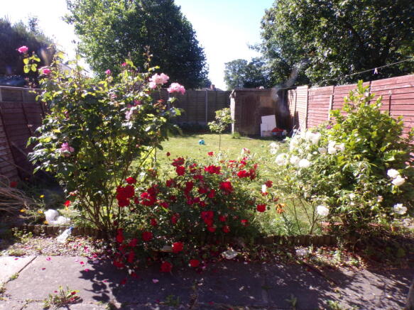 Photo 9