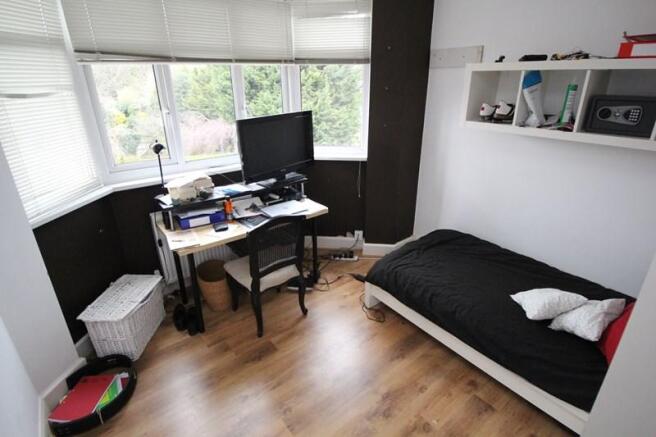 Photo 11