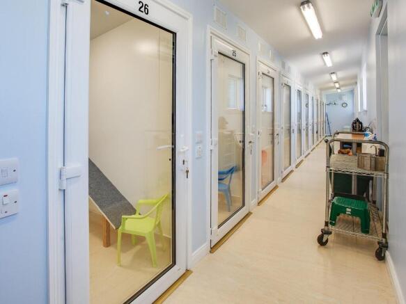 Frogmore Cattery, Aberdeenshire, AB41 6BD photo 4