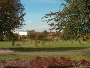 View from garden