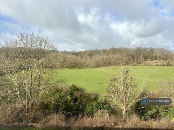 Views Opposite
