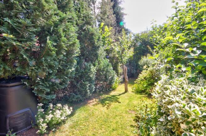 Garden 5.jpg