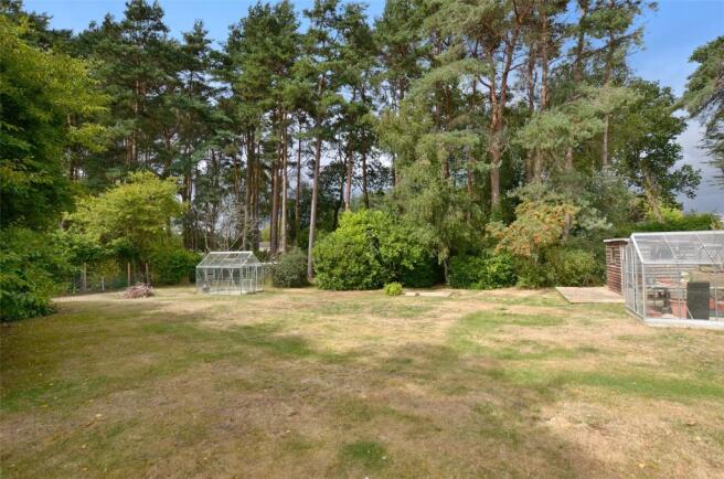 The Rear Garden