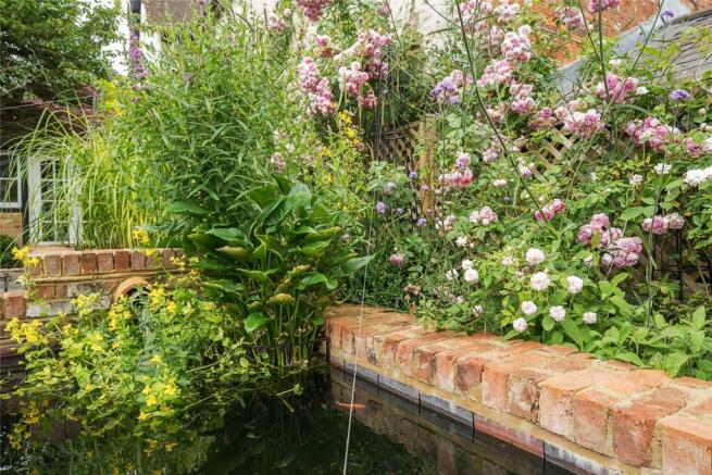 Pond
