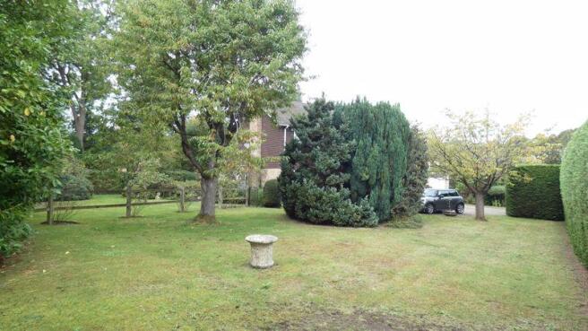 Photo 15