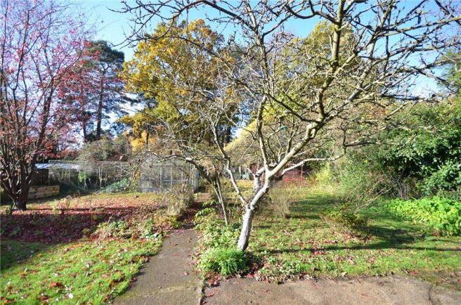 Garden 3