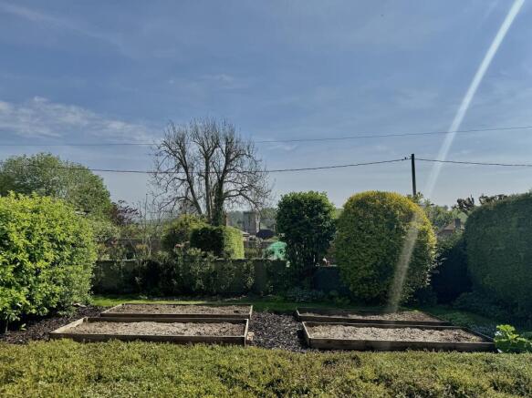 Vegetable Garden