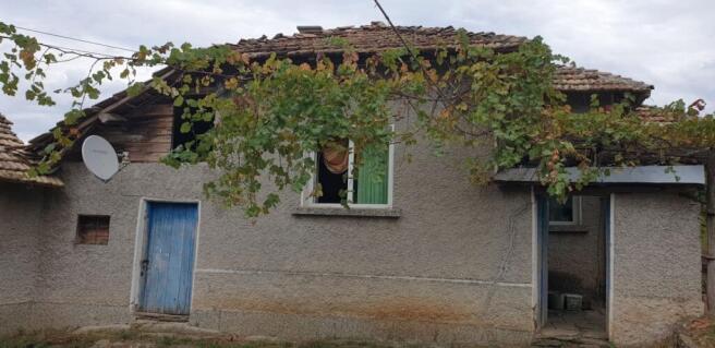 Facade of a rural Bulgarian house showing a blue wooden door, window with curtains, and tiled roof with grapevine overhead