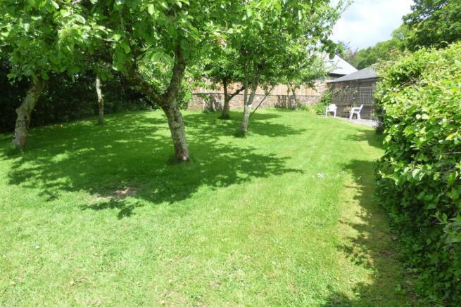 rear garden.JPG