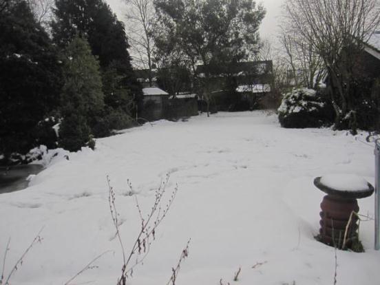 Rear Garden`