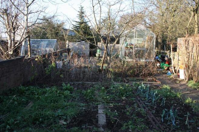 Rear Garden Veg Patch