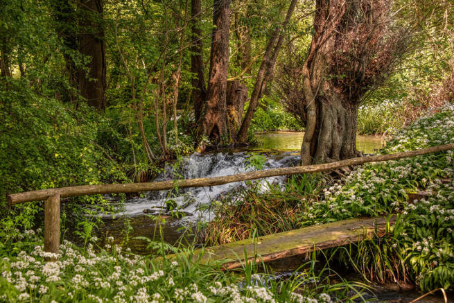 Stream