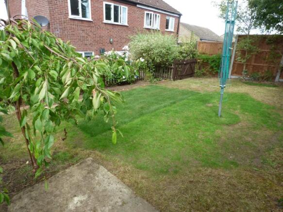 Photo 14