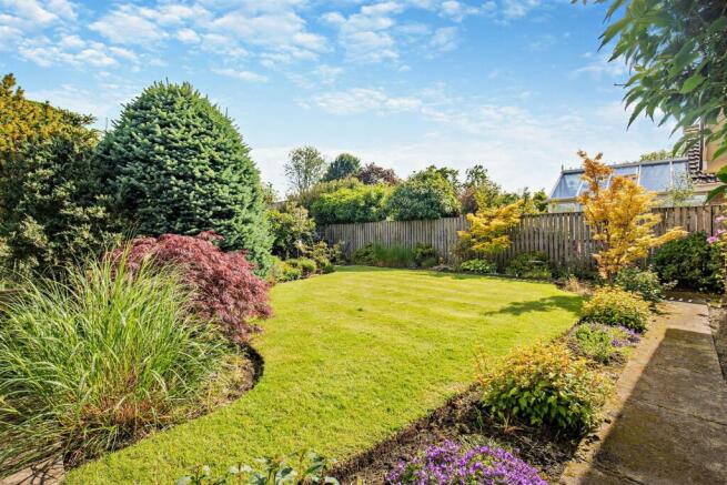 rear garden.jpg