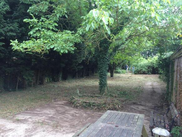 garden 1.jpg