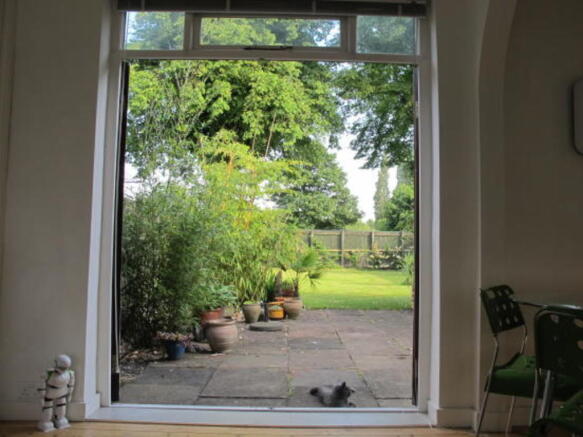 Photo 8