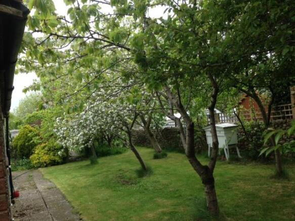 Photo 17