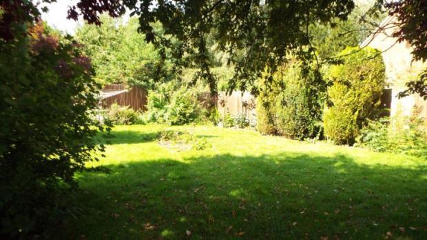 Garden 2