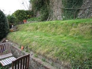 Garden (2)