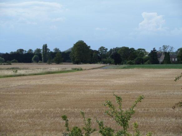 Field view