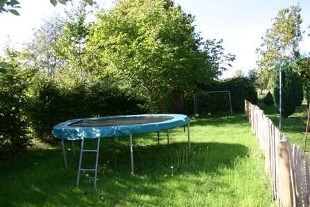 Back Garden