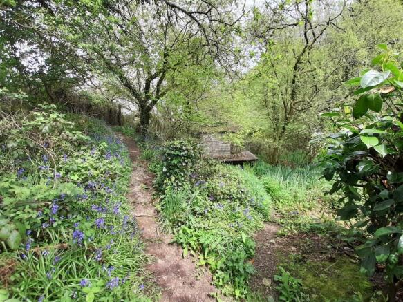 Woodland Glade
