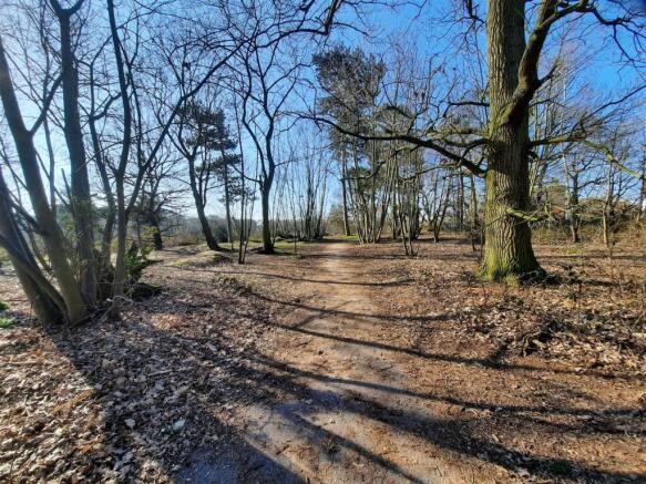 Woodland and Surroundings