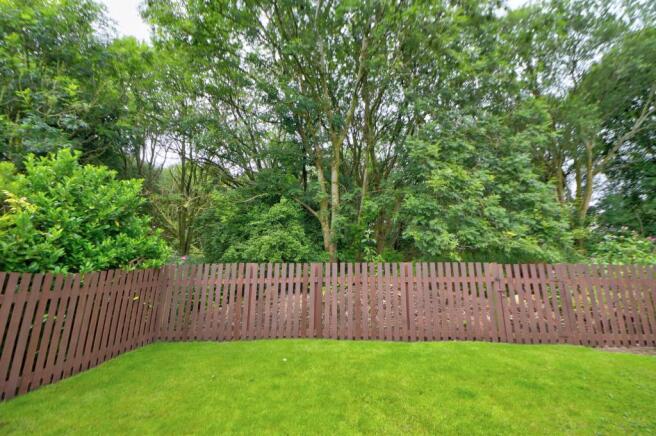 Rear Woodland Views