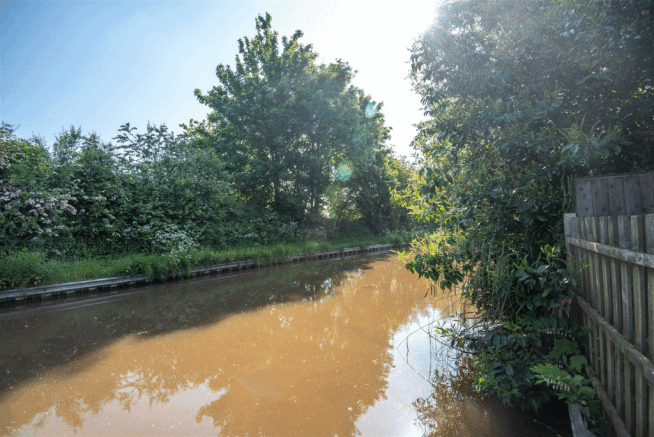 _DSC7388.gif