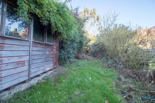 Garden at Back