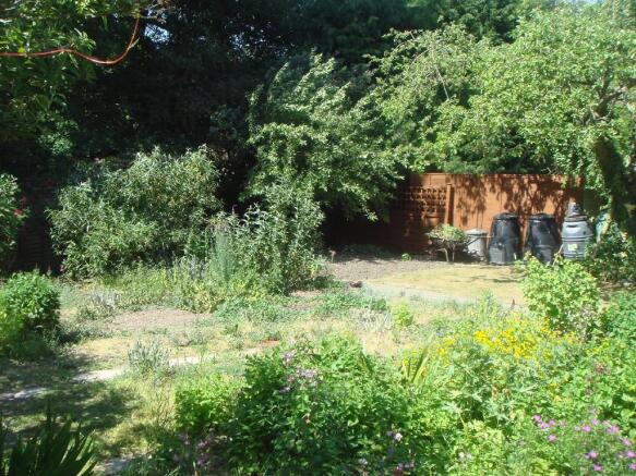 garden