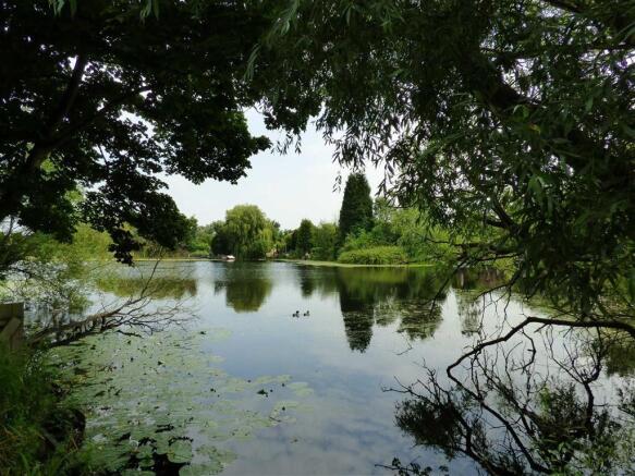 Photo 14