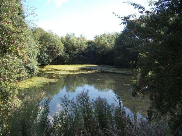 Residents Lake