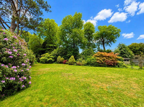 garden.png