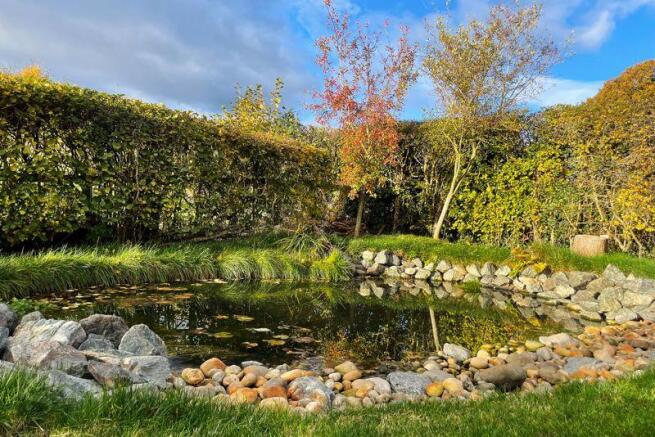 Wildlife Pond