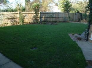Rear Garden Shot 2