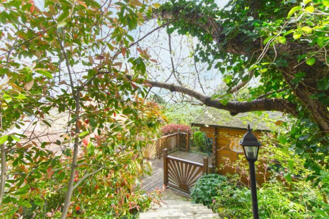 garden 3.jpg