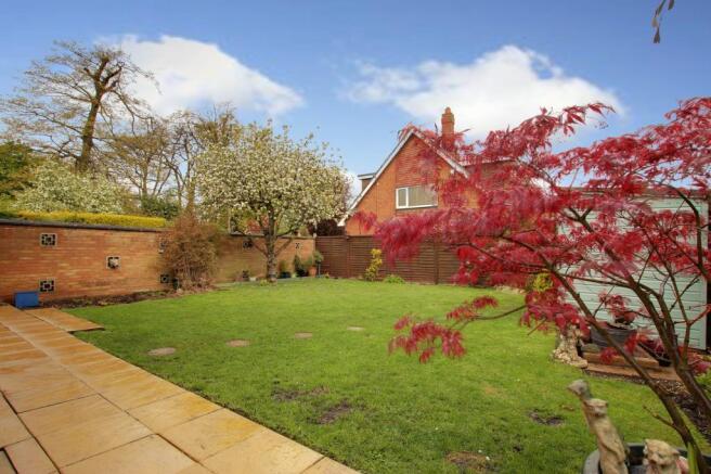 Garden at Back